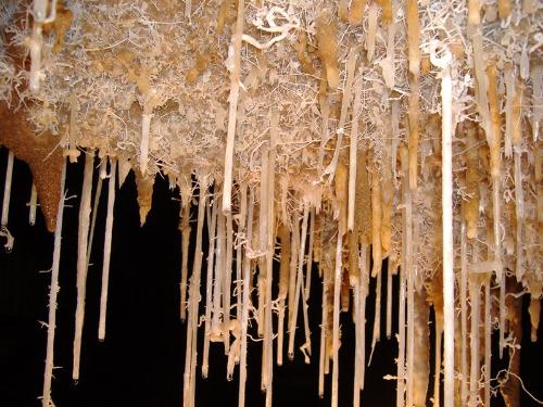 Grotte Is Zuddas